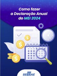Capa ebook Declaração anual do MEI 2024