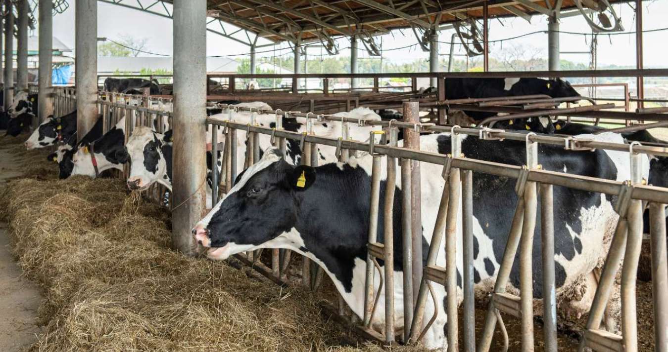 Benefícios da fertilização in vitro