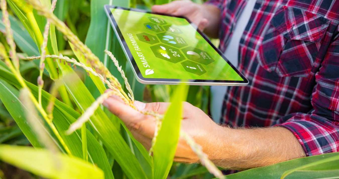 Homem do campo com tablet na mão