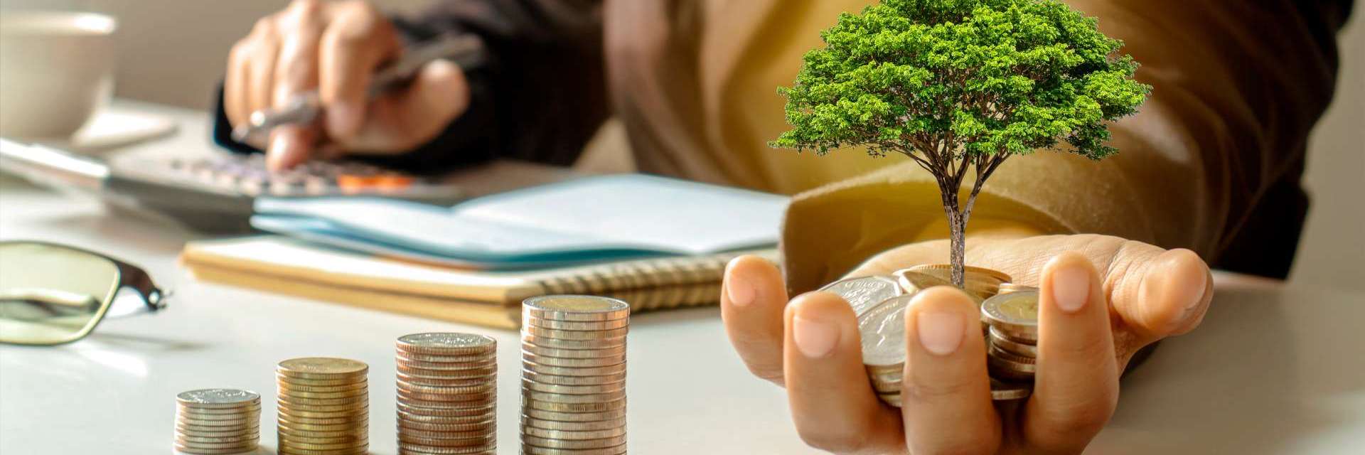 investimento